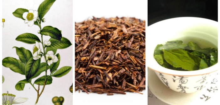The Superfood known as tea