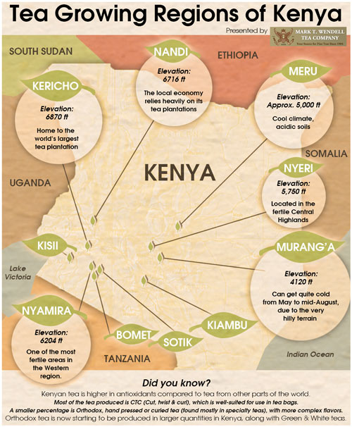 Kenya Tea Map
