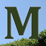 Tea Terminology- M Alphabet 