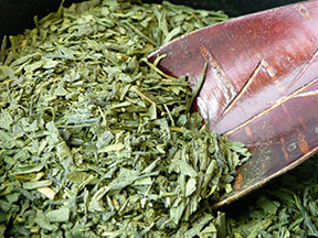 Green Tea by Brandy Kajino
