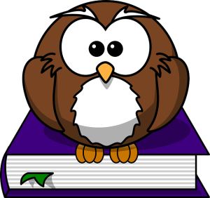 Owl-learning